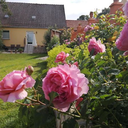 Strandhaus Mariflor Brook Kültér fotó