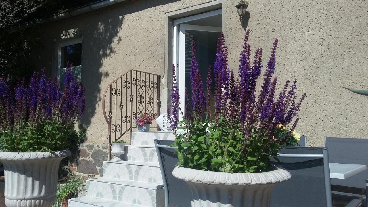 Strandhaus Mariflor Brook Kültér fotó